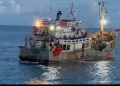 Ilegal Fishing Kapal Troll Dinilai Rugikan Nelayan Papua Selatan, Jaring Rusak hingga Picu Ketegangan