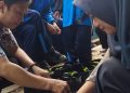 Realisasikan Peduli Lingkungan,Ratusan Pohon Cabai Ditanam Siswa SMP 6 Pemalang