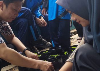 Realisasikan Peduli Lingkungan, Ratusan Pohon Cabai Ditanam Siswa SMP 6 Pemalang