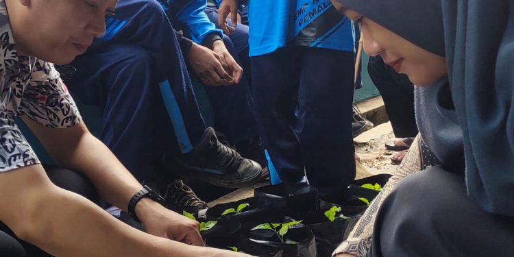 Realisasikan Peduli Lingkungan,Ratusan Pohon Cabai Ditanam Siswa SMP 6 Pemalang