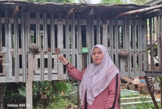 Peternakan Rakyat Bertransformasi, Menggerakkan Ketahanan Pangan dari Desa untuk IndonesiaI