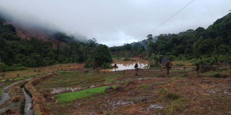 Longsor di Pasaman Barat, Enam Warga Hilang, Evakuasi Terhambat Tumpukan Material dan Air