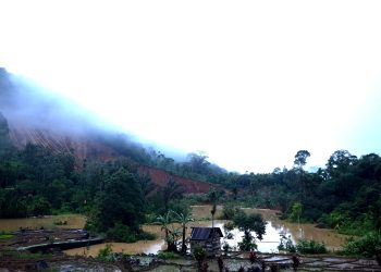 Tujuh Warga Tertimbun Longsor di Pasaman Barat, Satu Orang Berhasil Selamat