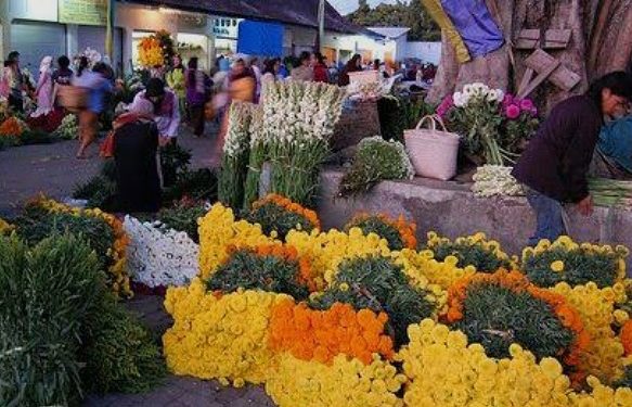 Sensasi Berburu Bunga di Pasar Bunga Bandungan