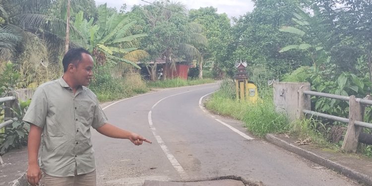 Jambatan Ambruk, Ketum PEPPASBAR Soroti Jembatan di Jorong Rimbo Janduang, Butuh Perhatian Serius Pemerintah