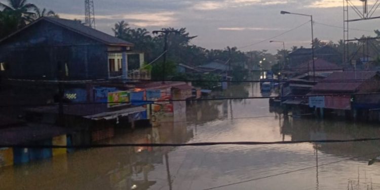 Krisis Pangan Mengancam Warga Desa Tanjung Pura: Banjir Terus Merendam, Bantuan Tak Kunjung Datang