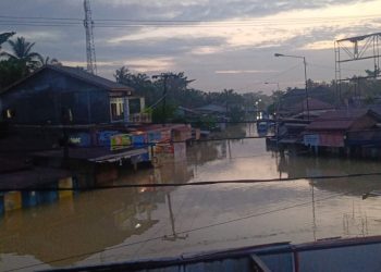 Masyarakat Desa Pematang Tengah Tanjung Pura Terancam Mati Kelaparan, Negara Kemana?