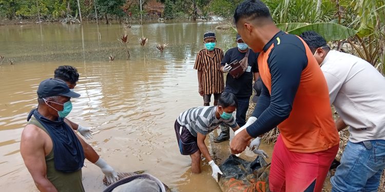 Satu Korban Longsor di Batang Tinggam Ditemukan Meninggal, Pencarian Tiga Warga Lain Masih Berlanjut