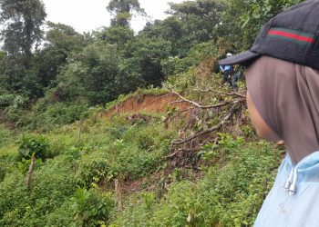 Retakan Bukit Rantau Pauh Kian Melebar, Ratusan Rumah dan Jalan Provinsi Terancam Longsor