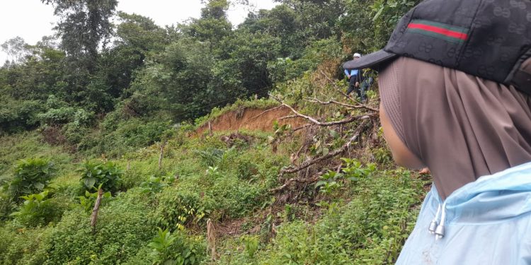 Retakan Bukit Rantau Pauh Kian Melebar, Ratusan Rumah dan Jalan Provinsi Terancam Longsor