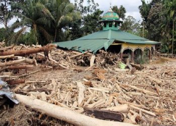 17 Orang Diseret Bareskrim, Kasus Kayu Gelondongan Sumut Makin Gelap