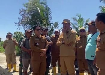 Dinas Pertanian Madina Pacu Pemulihan Lahan Pascabanjir, Ribuan Hektare Puso Jadi Taruhan