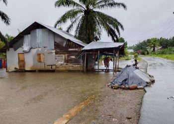 Hujan Deras Sebabkan Banjir Disejumlah Wilayah Pasaman Barat, BPBD Minta Warga Waspada