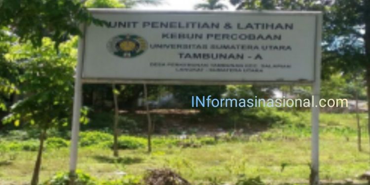 Kebun USU di Langkat, Ganti Rugi yang Tak Pernah Ada, Hak Pakai yang Dipelihara Negara