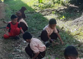 Program Gerakan LISA di SD Negeri 256 Kajang-Kajang, Tumbuhkan Karakter Cinta Lingkungan Sejak Dini