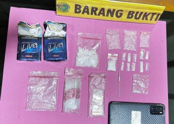 Satresnarkoba Polres Pasaman Barat Ringkus Seorang Pengedar Sabu-sabu