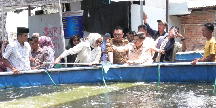 Pasaman Barat Dapat Kucuran Bantuan Besar, Pertanian dan Perikanan Bangkit