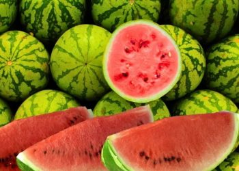 Semangka, Takjil Sunyi yang Menyelamatkan Tubuh Saat Berbuka Puasa