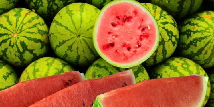 Semangka, Takjil Sunyi yang Menyelamatkan Tubuh Saat Berbuka Puasa