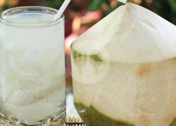 Segelas Kelapa Muda, Penawar Dahaga Sekaligus Penjaga Lambung Saat Ramadan