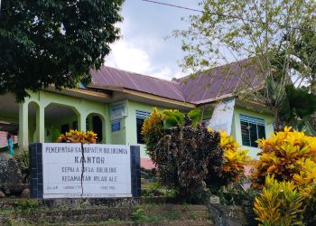 Oknum Bendahara Desa Bulolohe Diduga Bawa Lari Uang Insentif dan Honor Puluhan Kader Posyandu