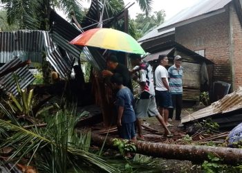 Tragis! Pohon Kelapa Tumbang Roboh Rumah Warga, Petani di Pasaman Barat Meninggal Ditempat