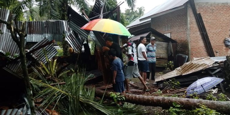 Tragis! Pohon Kelapa Tumbang Roboh Rumah Warga, Petani di Pasaman Barat Meninggal Ditempat