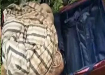 Kontainer Boks Maut Mengguncang Medan, Mayat Wanita Dibuang di Gang Sempit