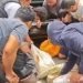 Dramatis! 30 Kg Sabu Rp39 Miliar Digagalkan di Jalinsum, Mahasiswa Terseret Jaringan Narkoba Malaysia