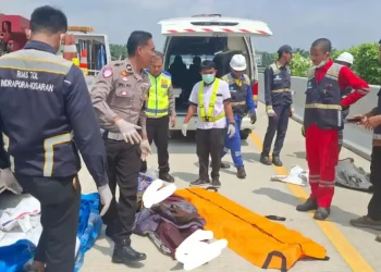Ngeri di Tol Indrapura–Kisaran, Innova Hantam Truk Box, 4 Tewas Seketika, 3 Kritis