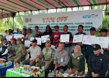300 Hektare Sawit Ilegal di Karang Gading Ditumbangi Satgas PKH, Negara Mulai Menagih Utang Ekologis