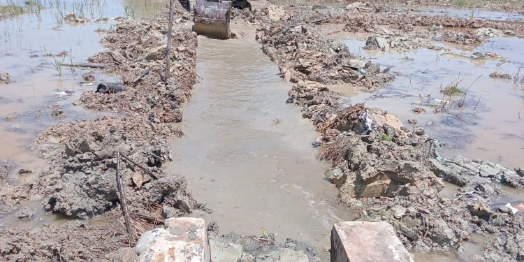 Pasaman Barat Alokasikan Rp6,2 Miliar untuk Pemulihan Lahan Pertanian Pascabencana