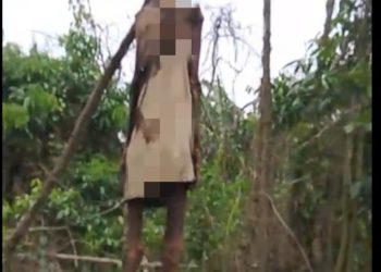 Tergantung Diranting, Pohon Sejak 2025, Jasad Korban Banjir Aceh Tamiang Ditemukan Bocah Penggembala Lembu