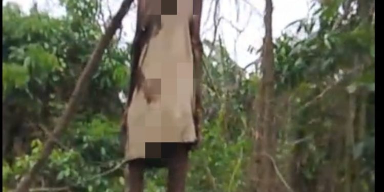 Tergantung Diranting, Pohon Sejak 2025, Jasad Korban Banjir Aceh Tamiang Ditemukan Bocah Penggembala Lembu