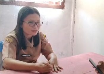 Pengelolaan Dana BOS SDN 078445 Umbu Bitaha Nias Selatan Efektif