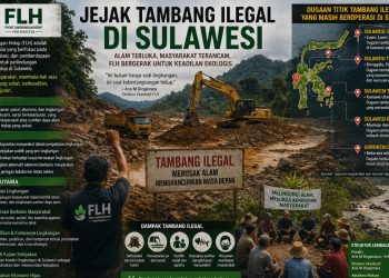 Mengurai Peta Tambang Ilegal Sulawesi, FLH Suarakan Krisis Lingkungan yang Terabaikan