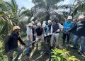 Ledakan Misterius Sebelum Blackout Sumatera, Bareskrim Ungkap Kesaksian Warga Didekat Jalur SUTET