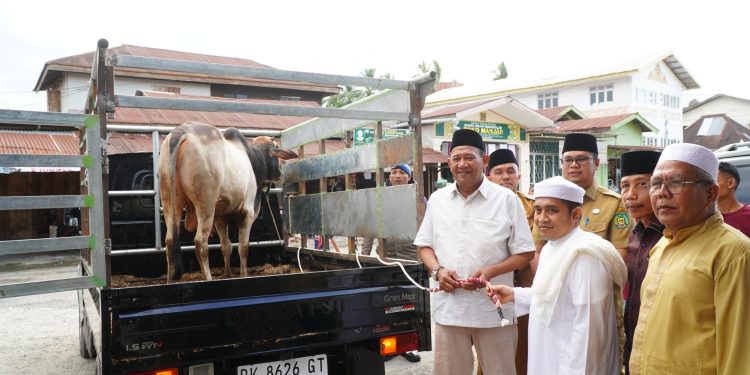 Bupati Syah Afandin dan Wabup Tiorita Tebar Qurban untuk Besilam, Menguatkan Tradisi Kepedulian Ditanah Langkat