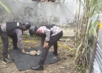 Ranjau Darat Perang Muncul dari Perut Bumi di Tanjung Pura