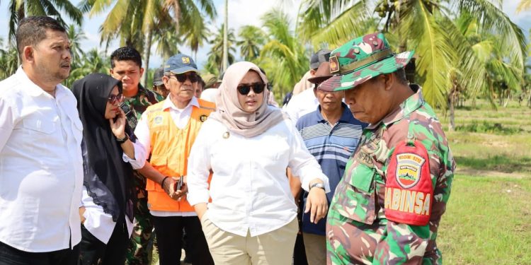 OPLAH dan Perbaikan Irigasi di Desa Tangga Bosi Rampung Bulan Ini