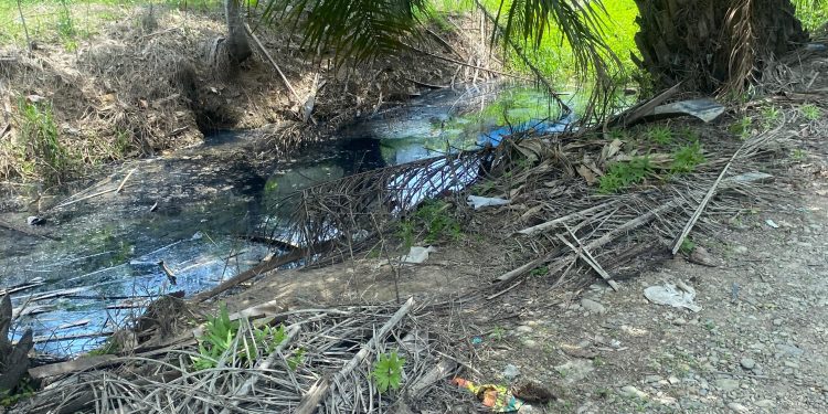 SATMA AMPI Bongkar Dugaan Pencemaran Limbah PKS di Langkat, Ancam Seret Perusahaan dan Instansi Terkait Keranah Hukum