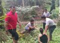 Kabur ke Kebun Sawit, Pengedar Sabu di Pasaman Barat Ditangkap