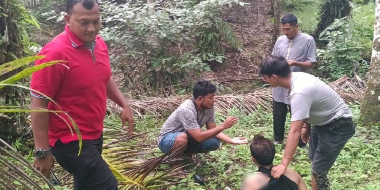 Kabur ke Kebun Sawit, Pengedar Sabu di Pasaman Barat Ditangkap