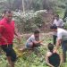 Kabur ke Kebun Sawit, Pengedar Sabu di Pasaman Barat Ditangkap