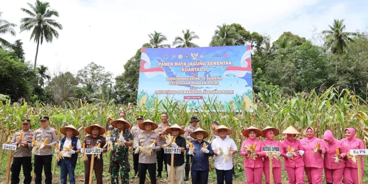 Sekda Madina Panen Raya Jagung Serentak dan Launching 4 SPPG Polres