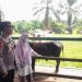 Permintaan Hewan Kurban Meningkat, Polisi Antisipasi Pencurian Ternak di Pasaman Barat