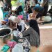 Semangat Berbagi Menggema di Gebang, Yayasan Pendidikan Al-Ma’arif Sembelih 4 Sapi Qurban untuk Siswa dan Masyarakat