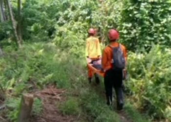 Neraka Abu Gunung Dukono: 20 Pendaki Terjebak Saat Erupsi Dahsyat, 3 Dilaporkan Tewas dan Dua WN Singapura Masih Hilang