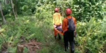 Neraka Abu Gunung Dukono: 20 Pendaki Terjebak Saat Erupsi Dahsyat, 3 Dilaporkan Tewas dan Dua WN Singapura Masih Hilang