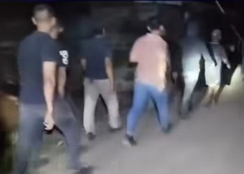 Viral! TNI Dituding Curi 16 Ekor Lembu di Labuhanbatu, Fakta Terungkap: Ternyata Sengketa Warga, Kodim Sebut Hoaks